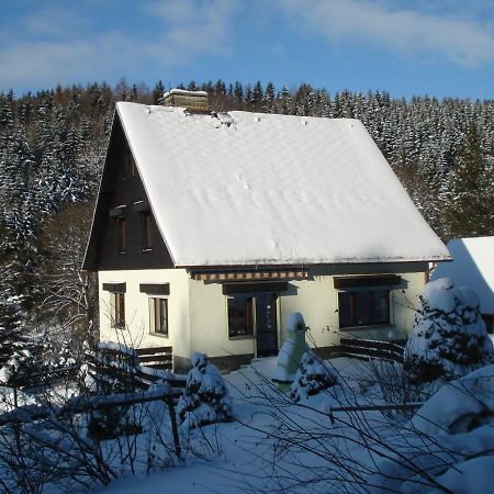 Erzgebirgsdomizil Am Schwartenberg Neuhausen  Exteriör bild