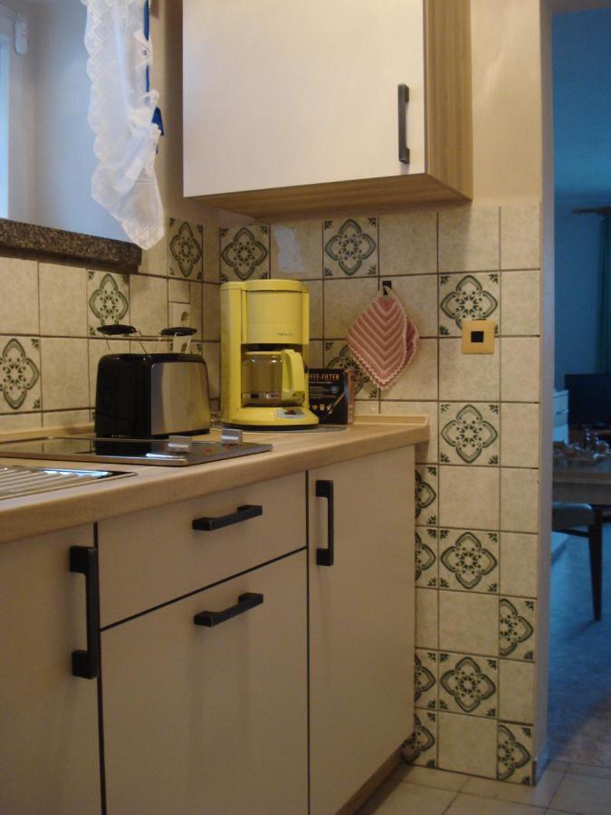 Erzgebirgsdomizil Am Schwartenberg Neuhausen  Exteriör bild