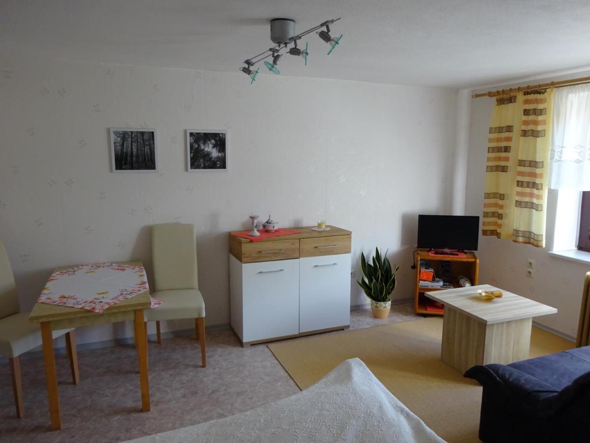 Erzgebirgsdomizil Am Schwartenberg Neuhausen  Exteriör bild