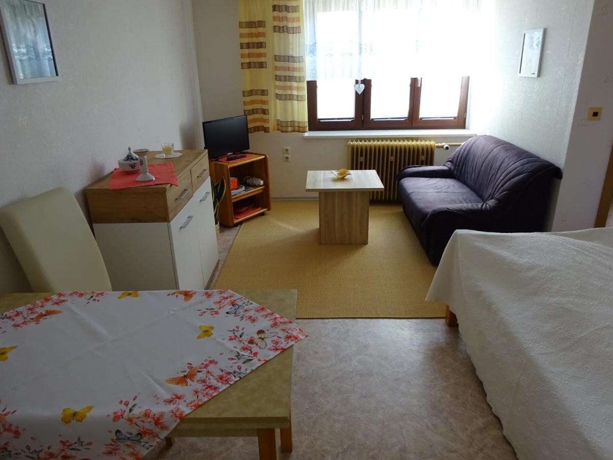 Erzgebirgsdomizil Am Schwartenberg Neuhausen  Exteriör bild